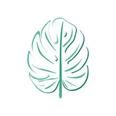 Vector green tropical leaf icon, symbol, isolated on white. Line art, decoration.