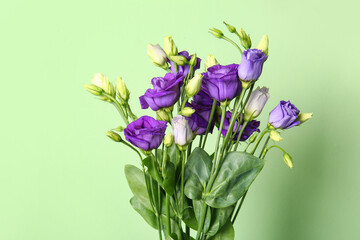 Fototapeta na wymiar Eustoma flowers on green background