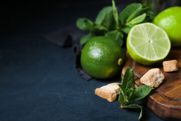 Ingredients for preparing mojito on dark background