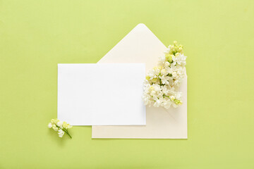 Blank cards and beautiful lilac flowers on pale green background