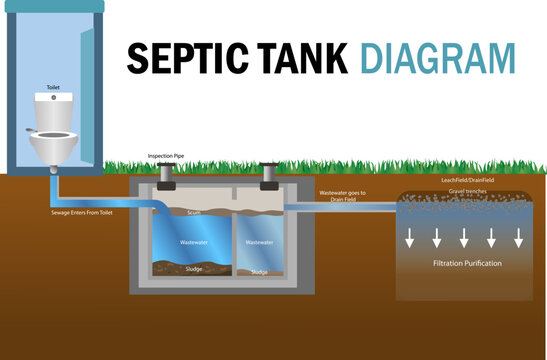 Septic Tank diagram vector illustration, toilet septic tank system illustration, home sewage treatment system., waste water, Infographic of a Septic Tank system, drain field purification filtration