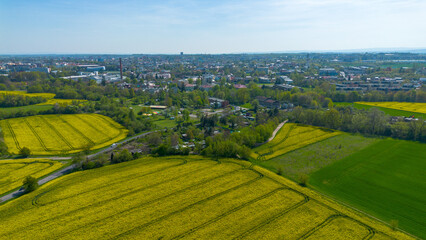 City of Olomouc with yellow farming fields seen from aerial view. 