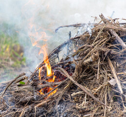 Burning firewood in a campfire, close-up