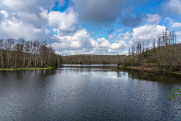 Hasselvorsperre im Harz