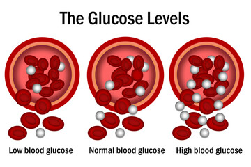 Glucose level with blood vessel
