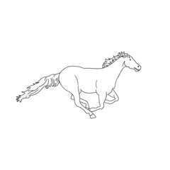 Obraz na płótnie Canvas horse line art illustration