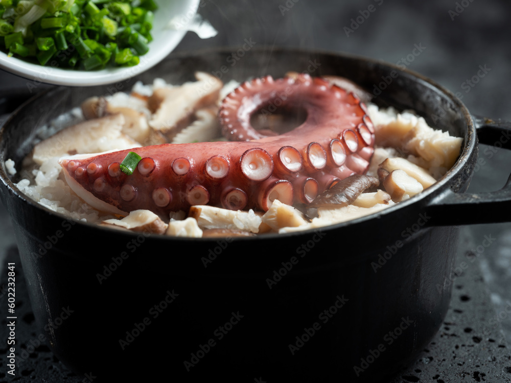 Canvas Prints octopus rice bowl with mushrooms