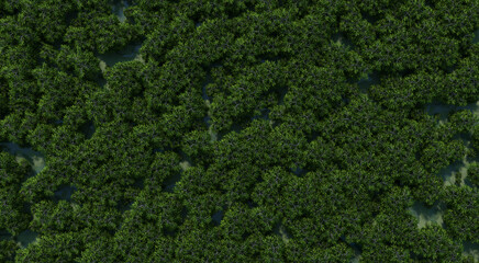 Top view photograph of a forest filled with green trees scattered throughout the area, demonstrating its richness and abundance.3d rendering.