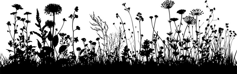 Grass with herbs and wild flowers. Vector isolated silhouette of floral meadow. Horizontal border.