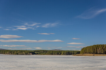 Fototapeta premium landscape with snow