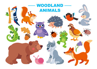 Set of cute woodland forest animals vector illustration. Cartoon animalistic characters in flat style: squirrel,  bear, wolf, fox, hare, owl, woodpecker, lizard, frog, hedgehog hedgehog, grouse.