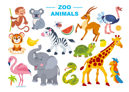 Set of cute safari, jungle, australian animals vector illustration. Cartoon animalistic characters in flat style: monkey, koala, elephant, giraffe, zebra, ostrich, flamingo, gazelle, turtle, tiger.