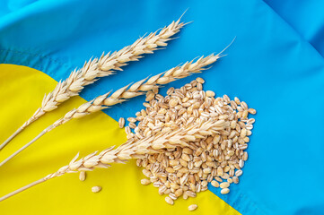 Ears of wheat and pile of wheat on Ukrainian flag. Close up.