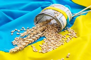 Wheat ears with wheat grains and money on Ukrainian flag.
