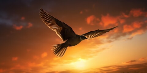 Silhouette of bird flying on sunset orange sky background. Generative AI