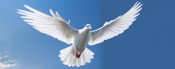Obraz premium White Dove Flying on Blue Sky Background, Bird of Peace Symbol, International Peace Day. Generative Ai