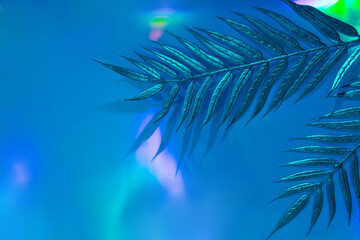 Top view of golden tropical leaf on holographic foil background. Flat lay. Minimal summer vacation concept with palm tree leaf. Creative copy space.
