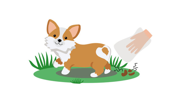 Walking with a pet. Clean up dog poop with a plastic bag and throw it in the trash can.  A way to clean up after your pet during your daily walk. Cute cartoon dog. Corgi breed. Vector illustration.