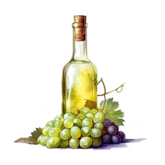 Fototapeta premium Watercolor bottle of wine and bunch of grapes