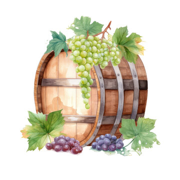 Watercolor barrel with wine and a branch of grapes