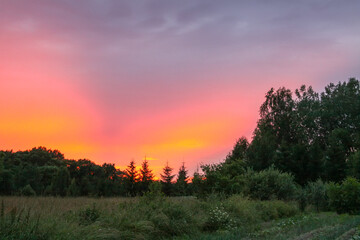 Landscape in Latvia. Scenic nature view in sunset light. Summertime in the countryside.