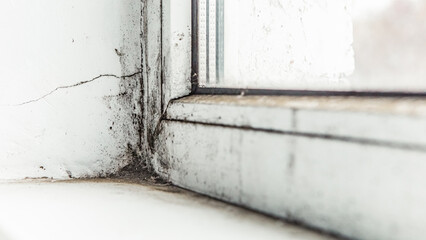 Close up white wall plastic window with black dangerous black mold in the corner of room. Harmful fungus parasite for health, strong mildew in large stains

