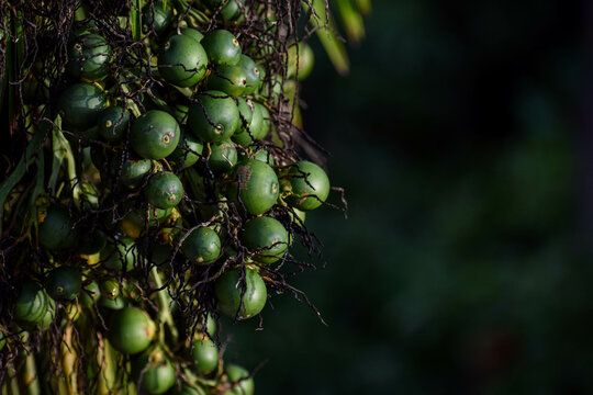 green supari 