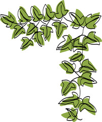 simplicity ivy continuous freehand drawing.