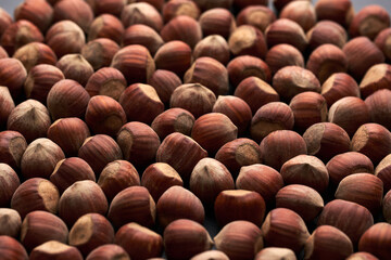 Whole hazelnuts nuts with shell close-up studio shot