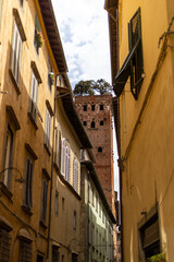 Fototapeta na wymiar View to the Guinigi Tower in Lucca from the narrow streets