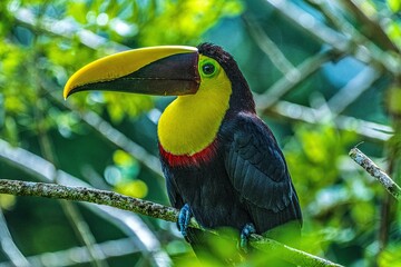 Costa Rica