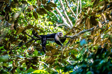 Costa Rica