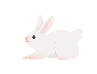Cute white rabbit sitting on ground cartoon animal design vector illustration isolated on white background