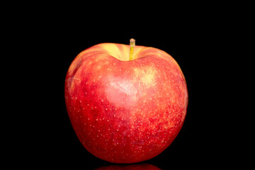 One ripe red apple, macro, isolated on black background.