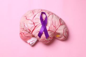 Purple ribbon on brain anotomical model isolated on pink background. World epilepsy day. 