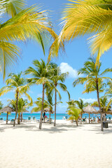 Fototapeta na wymiar Palm Beach Aruba Caribbean, white long sandy beach with palm trees and a blue ocean at Aruba Antilles.