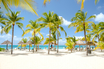 Palm Beach Aruba Caribbean, white long sandy beach with palm trees and a blue ocean at Aruba...