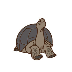Aldabra giant tortoise