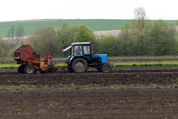 Fototapeta premium A tractor in the field with a special seeder for planting potatoes.