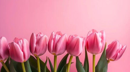 Fototapeta premium Beautiful composition of pink tulips on pastel pink background with copy space. Generative AI.