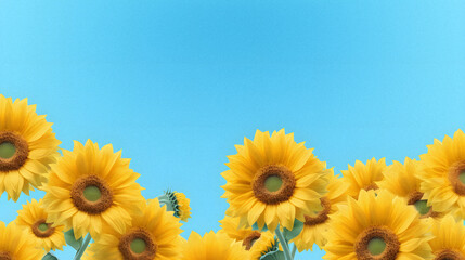 Sunflower Dreams: Delightful Blend of Yellow and Sky Blue in a Minimalist Style