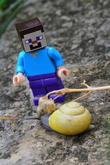Obraz premium Smiling LEGO Minecraft figure of Steve meets Common garden snail with yellow shell, latin name Cornu aspersum, from family Helicidae, on garden stone slab. 