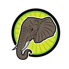 An elephant head with a green circle in the middle.