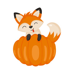 Cute playful Halloween fox behind the pumpkin