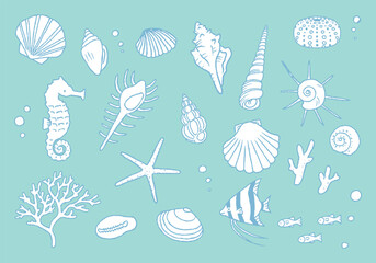 貝殻イラストセット　手描き線画 - obrazy, fototapety, plakaty
