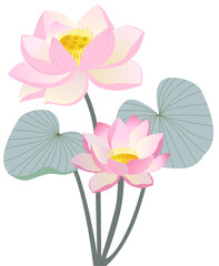 Vector pink flower bloom illustration graphic 