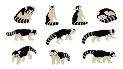 Black and white set of cute red pandas in different poses, flat style animal character design on white background.