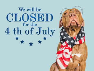 Signboard with the inscription We will be closed for the 4th of July. Cute brown puppy. Closeup, indoors. Studio shot. Congratulations for family, loved ones, friends and colleagues. Pets care concept