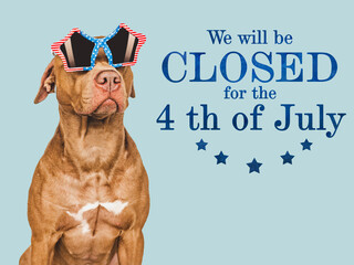 Signboard with the inscription We will be closed for the 4th of July. Cute brown puppy. Closeup,...