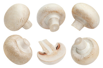 Collection of fresh champignon mushrooms, cut out
